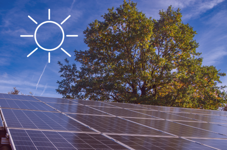 Teaser-Bild, Solarzellen mit grünem Baum im Hintergrund