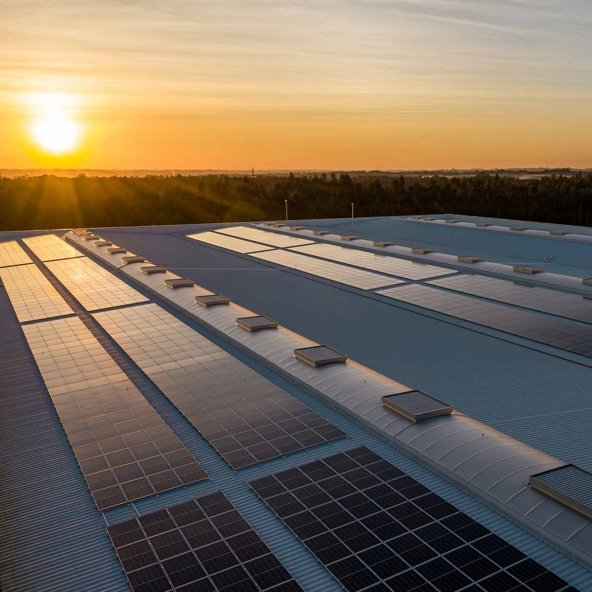 Solaranlage kaufen Solaranlage